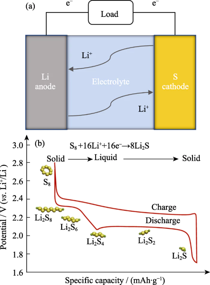 図1 (a) リチウム硫黄電池の構成と、(b) 対応する充放電プロセスの模式図