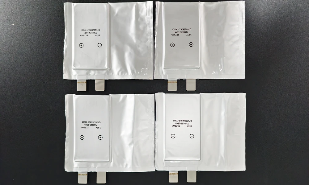 Anode-Free Pouch Cell Before Electrolyte Filling